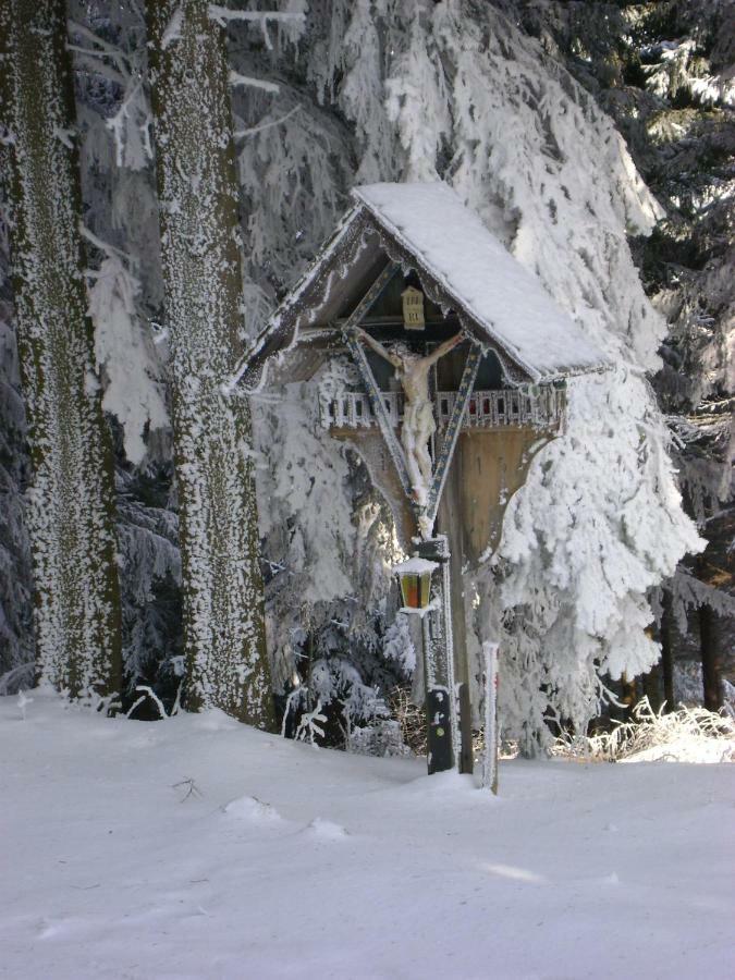 Апартаменты Haus Voellegg Vollegg Номер фото
